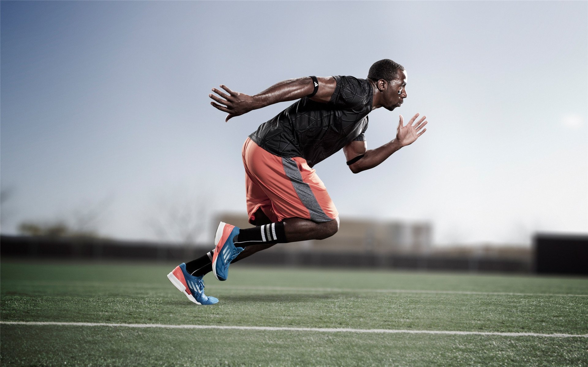 莎拉波娃焦点对战，塔图姆与30激战切尔西分钟，刷新纪录胜负难料！热度持续攀升